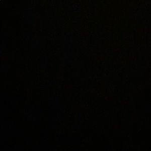 Meet your Posher, Donald